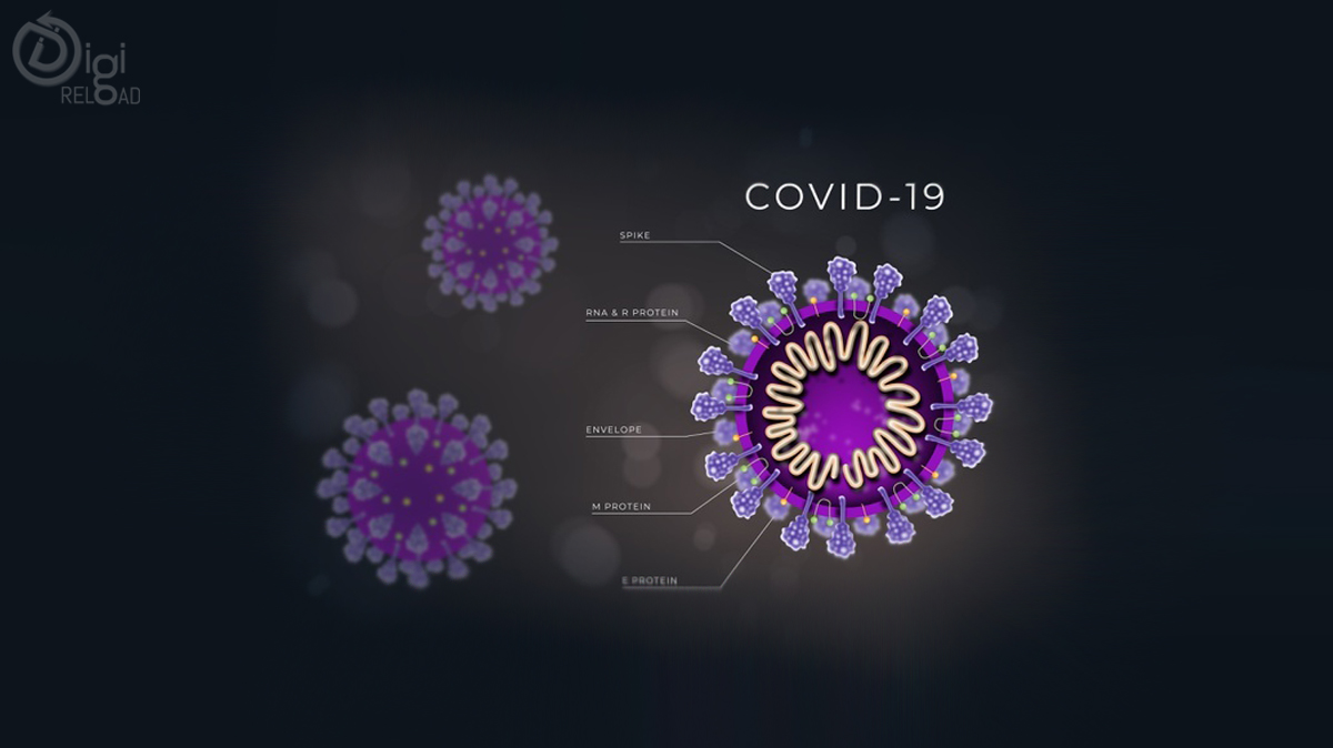 How Coronavirus Started
