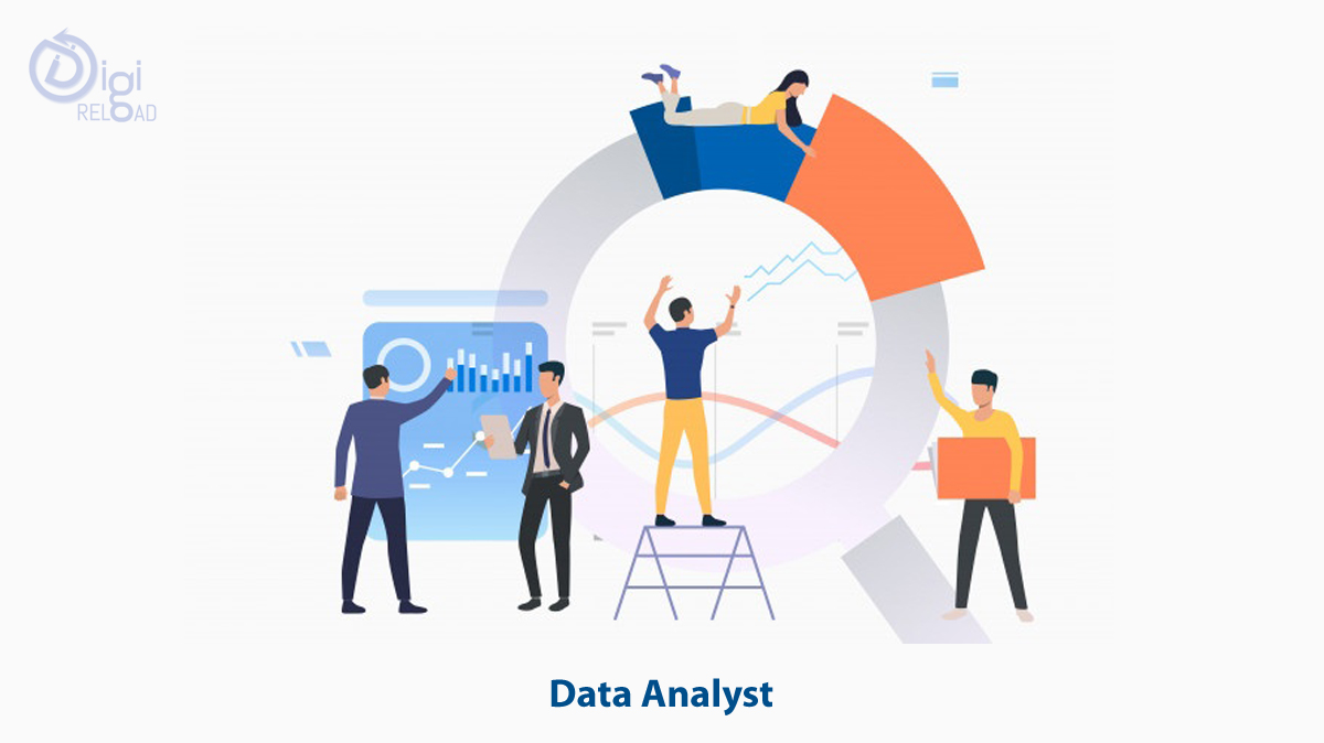 Data Analyst